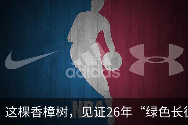 这棵香樟树，见证26年“绿色长征”